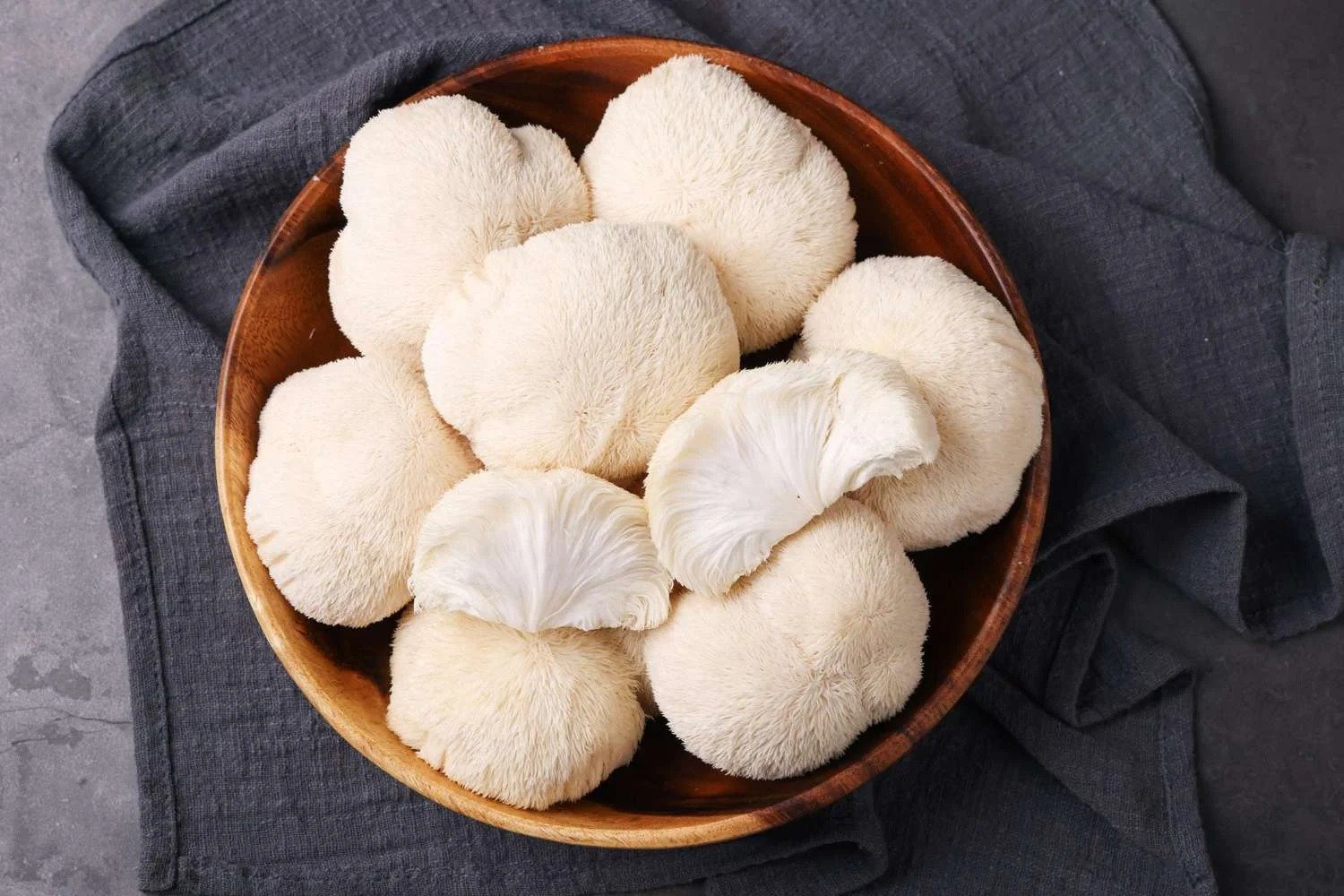 Lion's Mane Mushroom - Cognitive Function Support
